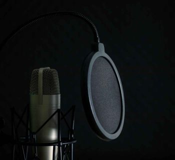 Skilled Voice Over Artists