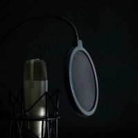 Skilled Voice Over Artists