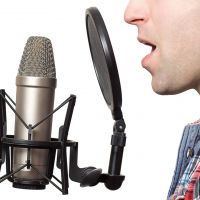 French voice over agency